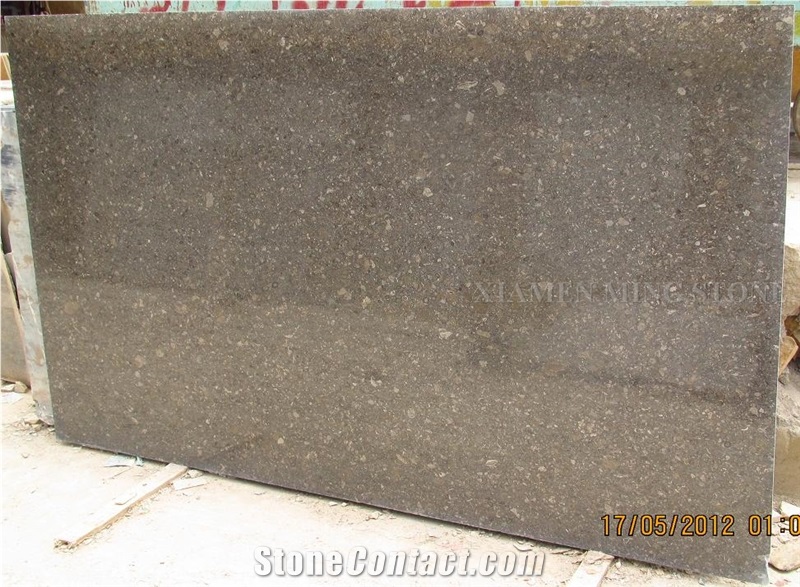 Fossil Brown Seashell Limestone Polished Slabs,Marron Moca Coral Stone Panel Tiles for Interior Wall Cladding,Flooring Pattern