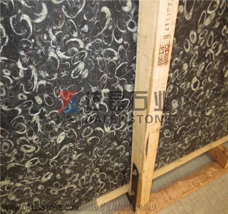 Fossil Black Seashell Flower Sea Shell ,Peacock Eye Black China Black Marble Slab Cut to Size Wall Pattern Tiles,Floor Covering Wall Building Stone