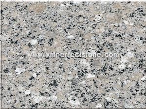 Granite /Flamed Granite Price / Cut to Size Granite / Paver Granite Stone