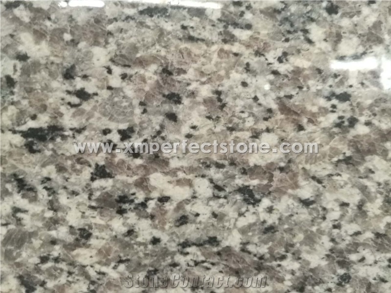 Swan White Granite Kitchen Counter Top, Granite Worktops/Granite Bar Top, Stone Kitchen Desk Top