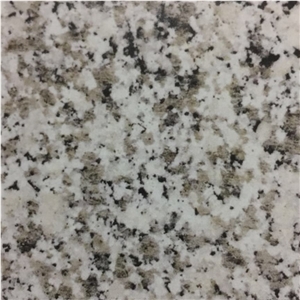 Bianco Sardo Granite Slabs Tiles Italy