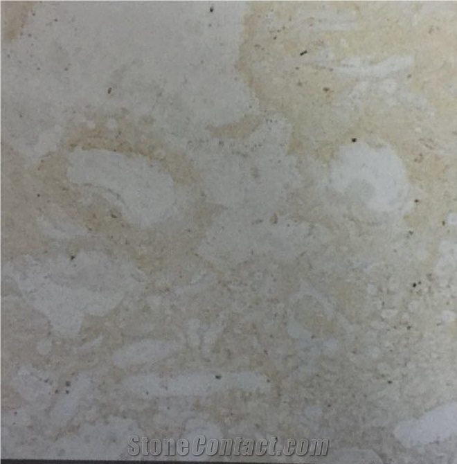 Mexican Coral Stone Limestone Slabs Tiles