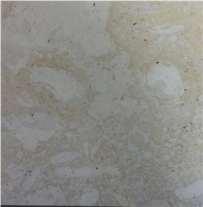 Mexican Coral Stone Limestone Slabs Tiles