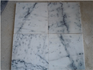 Beautiful High Quality Natural Marble Price Guangxi White Marble Slabs with Black Vien