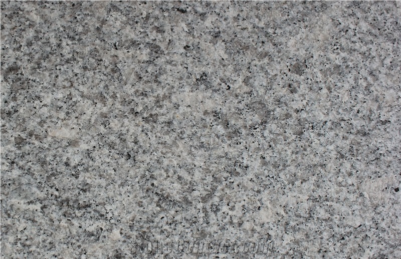 China G602 Grey Bianco Sardo Granite Flamed Tiles&Slabs