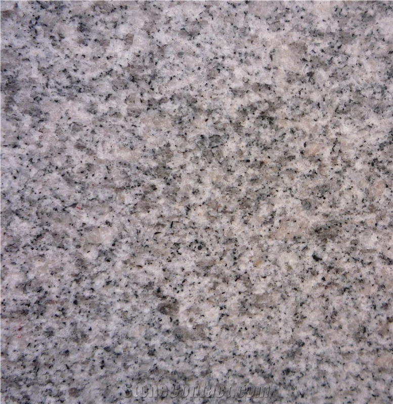 China G602 Grey Bianco Sardo Granite Polished Tiles&Slabs