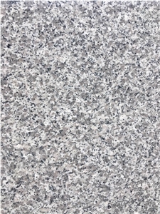 China Grey G623 Granite/New Bianco Sardo 2/3cm Middle Slabs