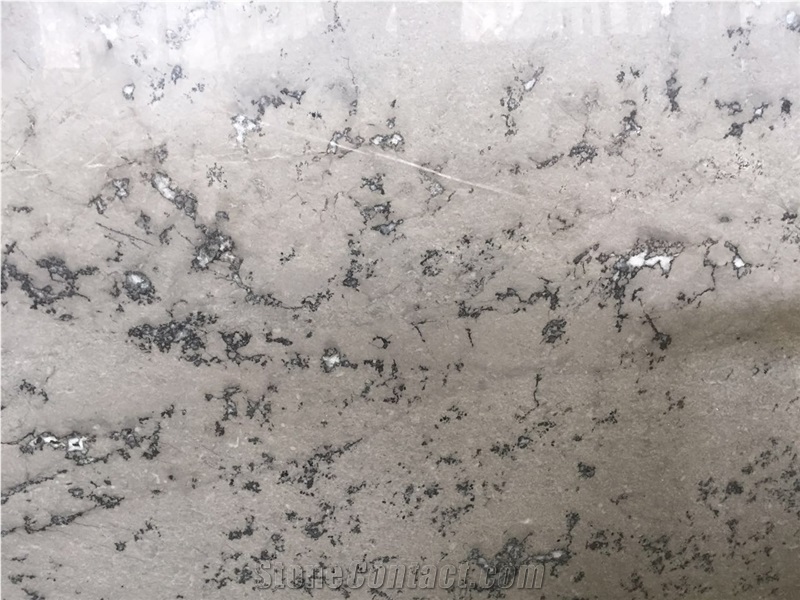 China Quintessence Wolf Cloudy Grey Small Flower Marble Slab