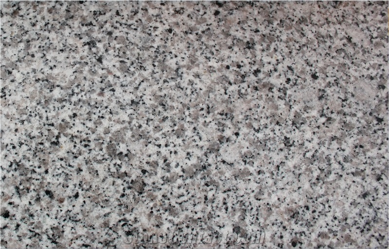 New Grey G640 White Black Flower Granite Tiles&Slabs