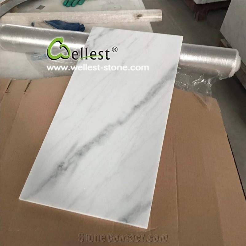 High End Elegant White Marble with Black Veins Wall and Floor Tile
