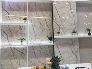 Building Material White Marble Slab/Tile/Floor with Veins