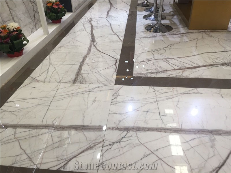 Building Material White Marble Slab/Tile/Floor with Veins