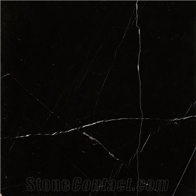 China Cheap Price Nero Margiua Black Marble Tile