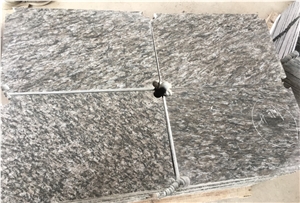Italy Silver Brown /Dorato Valmalenco Granite Slab/Floor/Wall