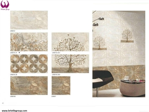 Ceramic Wall Tile 30x60
