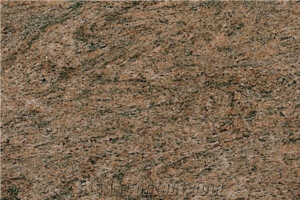 Autumn Brown Granite Slabs & Tiles, India Brown Granite