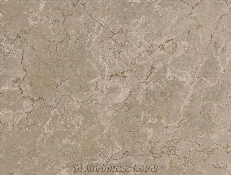 Classic Royal Beige Marble