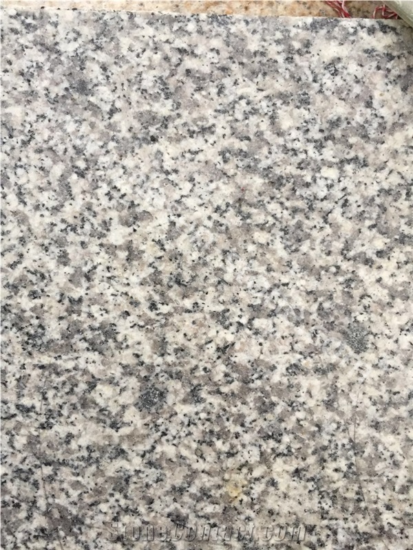 G623 Haicang White Granite Slabs&Tiles, G623 Gamma Gray/Barry White Granite Stone Skirtings, G623 China Bianco Sardo Granite Half Slabs