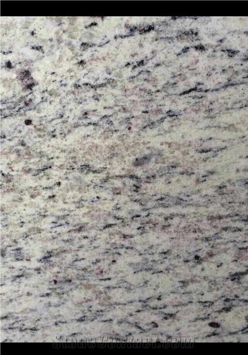 Dallas White Granite Slab, Dallas White Tiles, Brazil White Granite for Kitchen