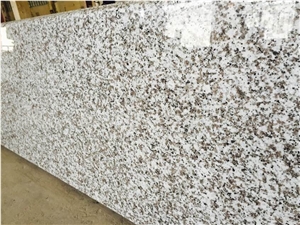 G439，China Bianco Sardo,Big White Flower,Puning White Granite,Beta White Granite Slabs,Tiles,Wall Covering,Flooring for Project,Hotel Decoration
