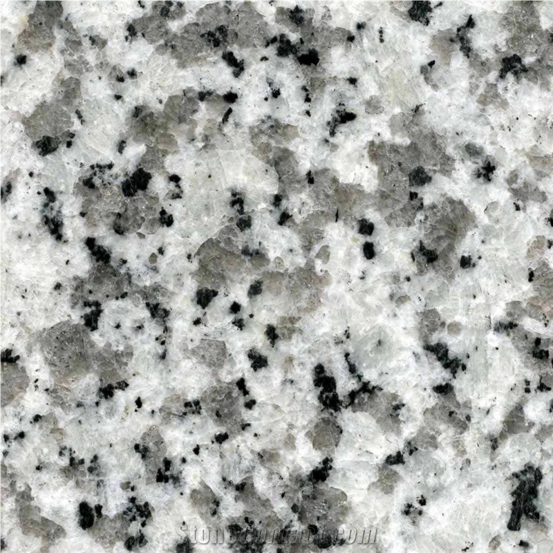 G439 Pauline Grey, China Granite Slabs, Tiles & Floorings