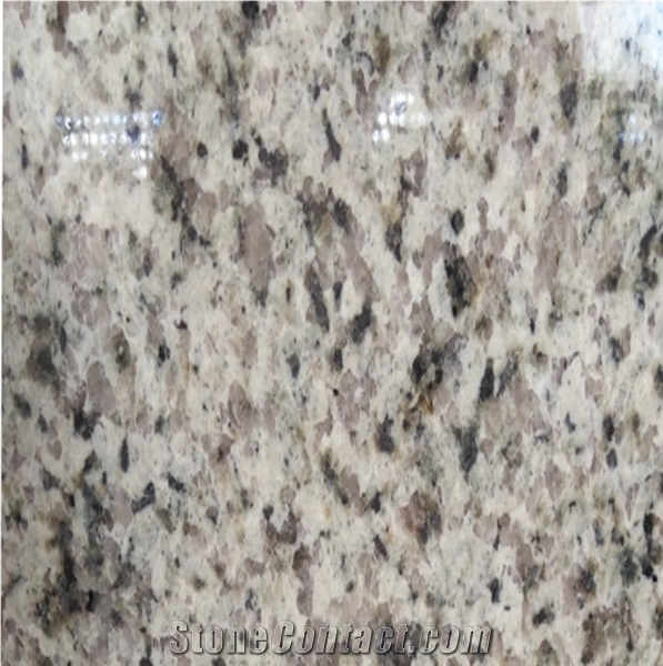 Galaxy Green Granite,China Natural Granite Tiles for Kitchen/Bath
