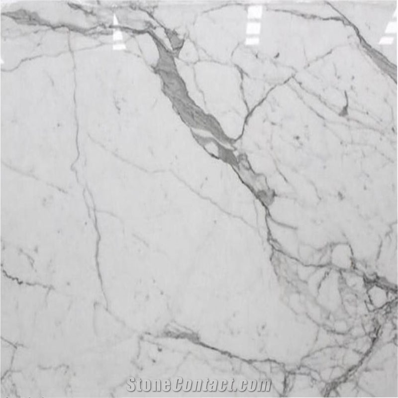 Statuario Venato/Italy Snow White Marble,Slabs,Tiles,Tops