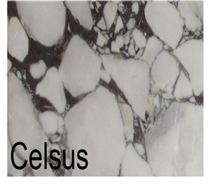 Celsus Marble