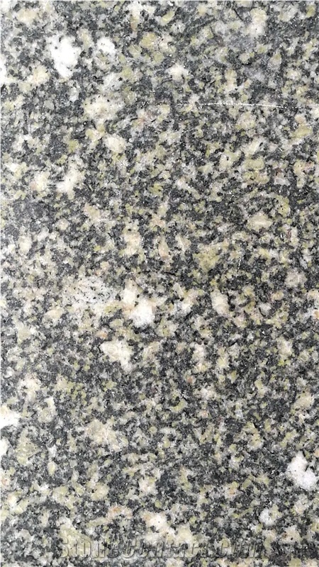 Polished Shandong Green Natural Stone Granite Tiles Floor Wall