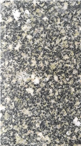 Polished Shandong Green Natural Stone Granite Tiles Floor Wall