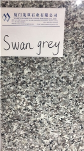 Swan Grey Granite,Cheapest Granite,Polished Grey Granite,Granite Big Slabs