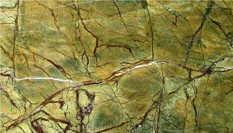 Rain Forest Green Marble Tiles & Slab