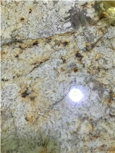 China Professional Countertop Manufactory ，Giallo Ornament Granite Top