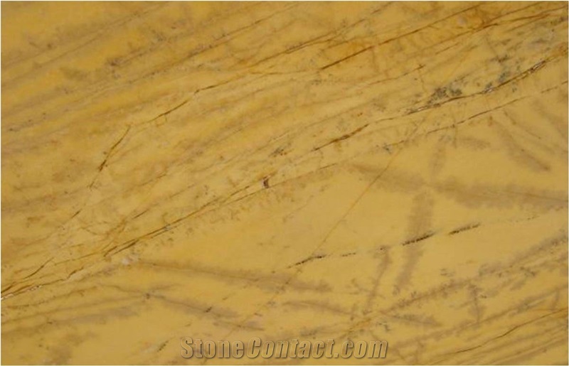Amarillo Marbles Slabs and Tiles,Amarillo Cobdar Marble