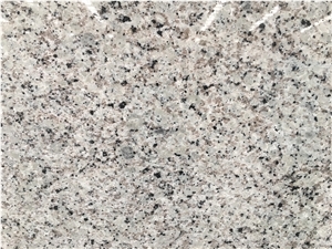 Barbara White/Granite Slabs&Tiles/Granite Floor&Wall Covering/Granite Slabs for Counter&Vanity Tops