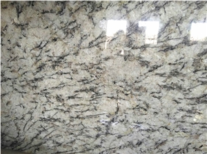 White Orion/Imported High Quality White Granite Slab