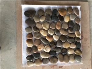 Multicolor Pebble Mosaic Tile /Natural River Stone Mosaic for Flooring/Pebble Mosaic in Mesh/Pebble Mosaic Tile for Floor Covering/Pebble Mosaic for Bathroom/Interior Decoration/Natural Stone