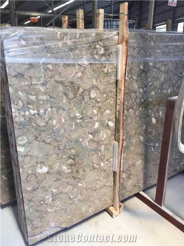 Brown Fossil Limestone Slabs and Tiles, Green Shell Limestone Slabs, Brown Fossil Marble Slabs, Brown Shell Marble Tiles