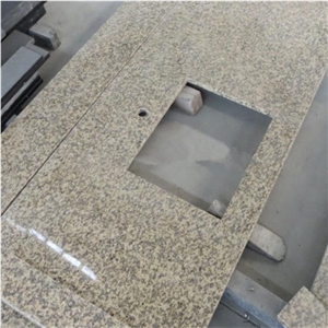 China Origin Tiger Skin Yellow Polished Granite Slab, G717 Granite for Countertop and Worktop, G691 Yellow Granite Steps & Pattern
