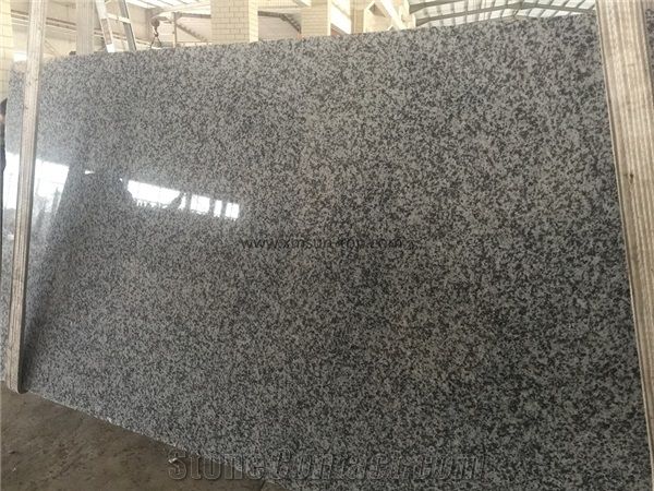 Polished G439 Granite Slabs&Gangsaw Big Slab&Customized/Big Flower White Granite for Wall Covering&Wall Cladding/Big Flower Granite for Flooring/Puning White Granite/China Bianco Sardo Granite/A Grade