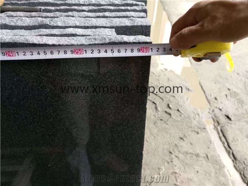 Polished G654 Granite Slab&Gangsaw Big Slab&Strip(Small Slab)&Tile& Cut to Size/China Impala Black Granite Panel/Sesame Black Granite for Flooring&Wall Covering/Dark Barry Grey Granite/A Grade