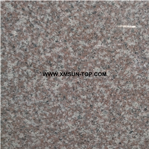 Polished G664 Granite Slabs&Gangsaw Big Slab&Customized/Majestic Mauve Granite for Wall Covering&Wall Cladding/Luna Pearl Granite for Flooring/Luoyuan Violet Granite/China Ruby Red Granite/ a Grade