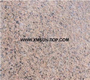 Red Porphyry Slab&Tile&Customized/Porphyry Stone Panel/Porphyry for Floor Covering/Porphyry Stone for Wall Cladding&Wall Covering/Porphyry Covering
