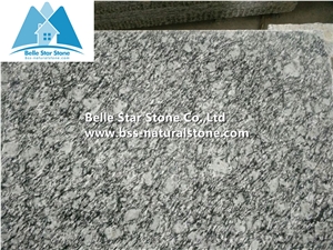 Guangdong Silver Grey Granite Tiles,Sea Wave Flower Granite,Wave Flower Granite Slabs,Sea Wave Flower Granite Floor Tiles,Granite Wall Tiles,Granite Slabs