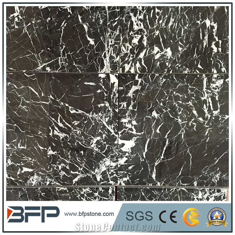 Friesian Black Marble Tiles,Black and White Marble Slabs & Tiles,Black