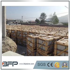 Popular Chinese Padang Champagne,Plum Blossom White,Chinese Sardinia Grey,Snow Plum Of Nanan,Cristallo Grigio for Flooring Tile with Plenty Of the Stock
