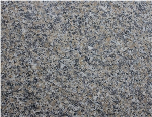 Alxa Yellow Granite,Alxa Gold Granite,Alashan Huang