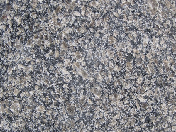 Brown Pearl Granite,Royal Brown Granite,Royal Pearl Granite,China Caledonia Granite