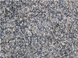 Brown Pearl Granite,Royal Brown Granite,Royal Pearl Granite,China Caledonia Granite