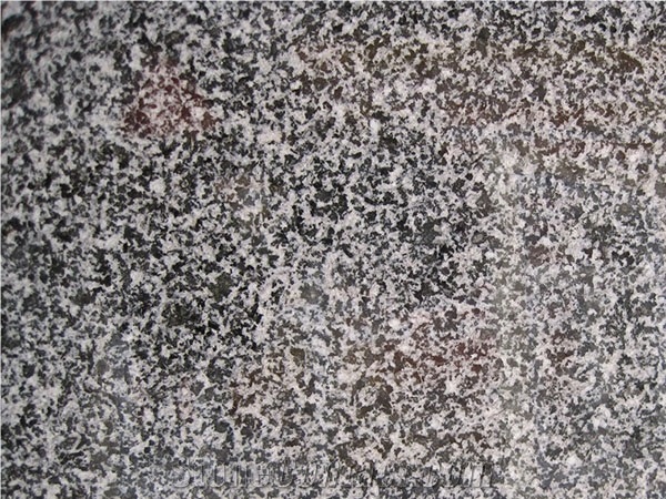 G308 Granite, Laizhou Grey Granite,Laizhou Green,Laizhou Qing